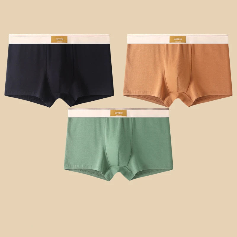Boxers en coton