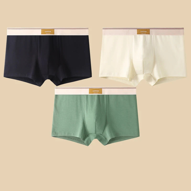 Boxers en coton