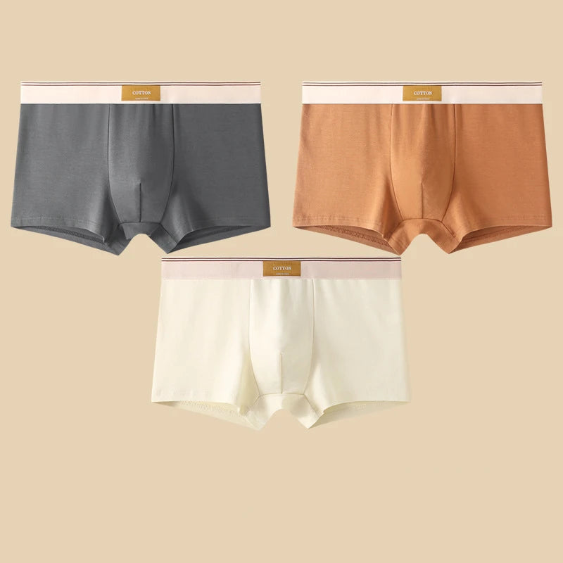 Boxers en coton