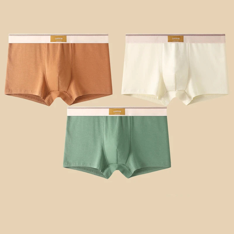 Boxers en coton