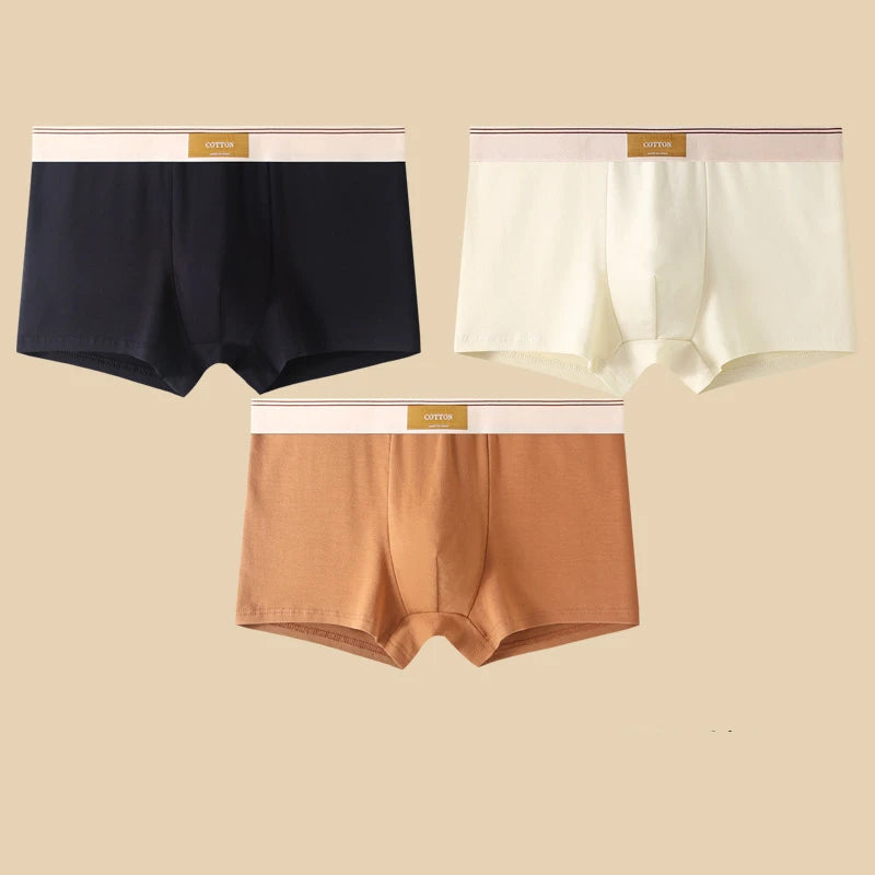 Boxers en coton