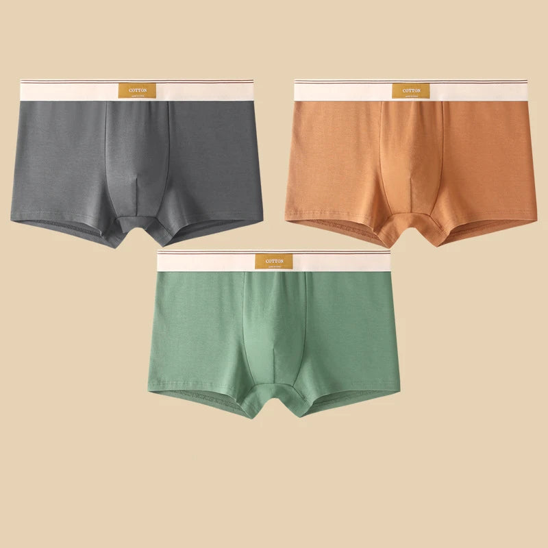 Boxers en coton