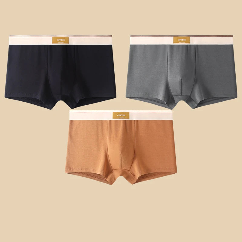 Boxers en coton