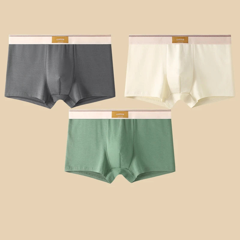 Boxers en coton